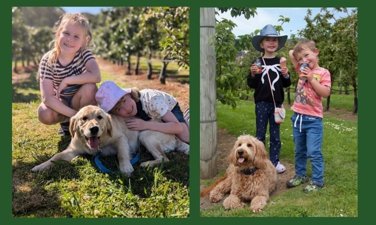 Taking Your Dog on the Spirit of Tasmania: Where to Go When You Land in Devonport